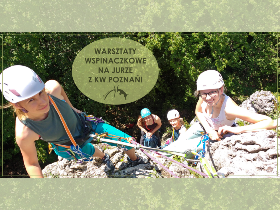 warsztatyKWP_Jura2022_www